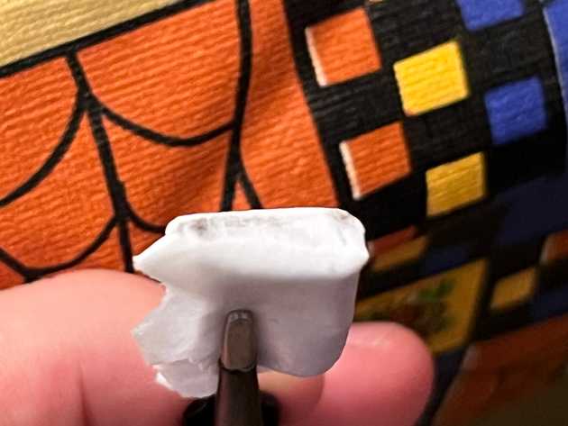 Folded paper soaked with rubbing alcohol held by tweezers